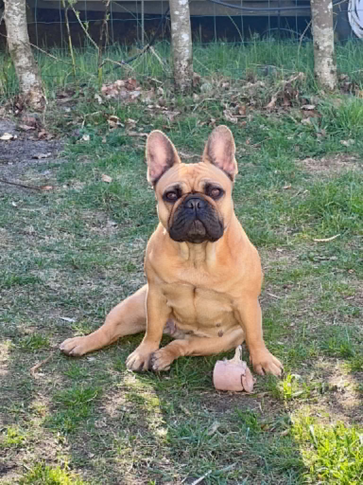 Foto af Ellie