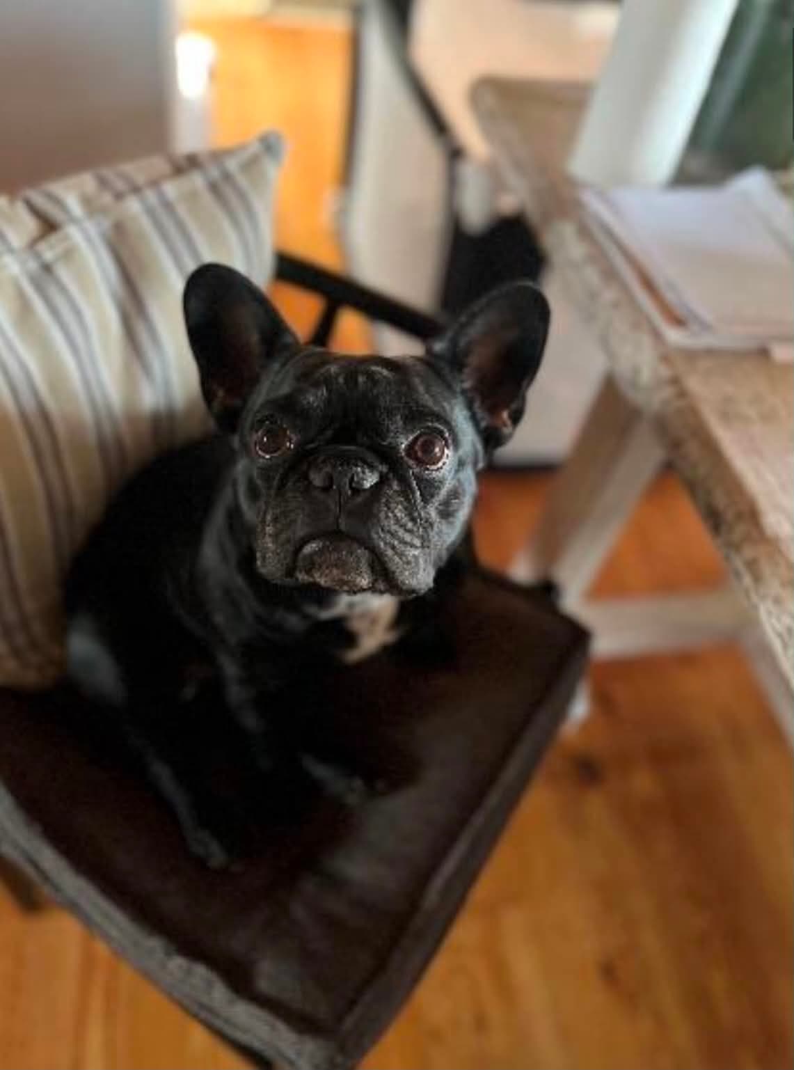Foto af Pippi